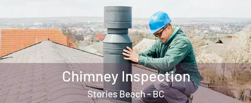  Chimney Inspection Stories Beach - BC
