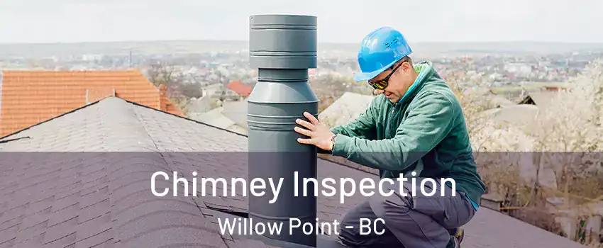  Chimney Inspection Willow Point - BC