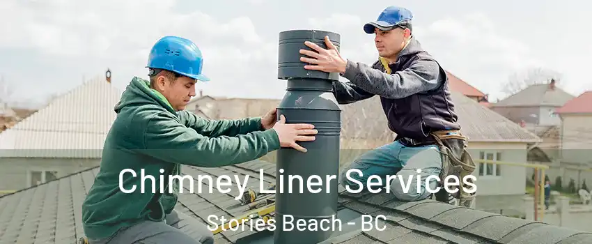  Chimney Liner Services Stories Beach - BC