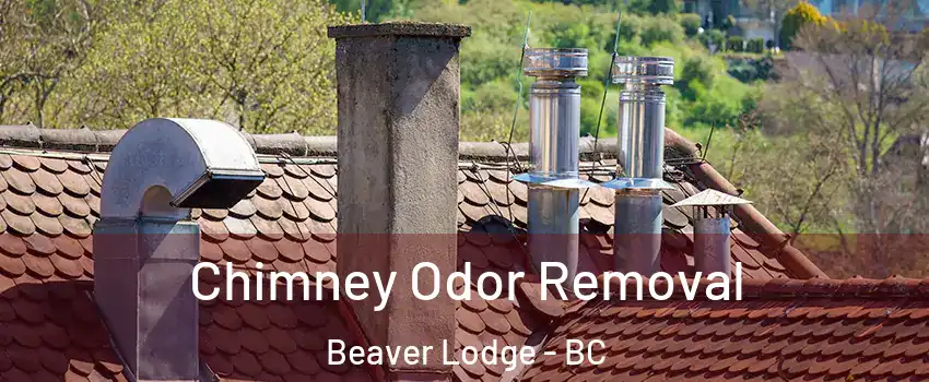  Chimney Odor Removal Beaver Lodge - BC