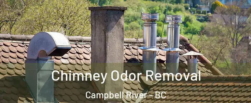  Chimney Odor Removal Campbell River - BC