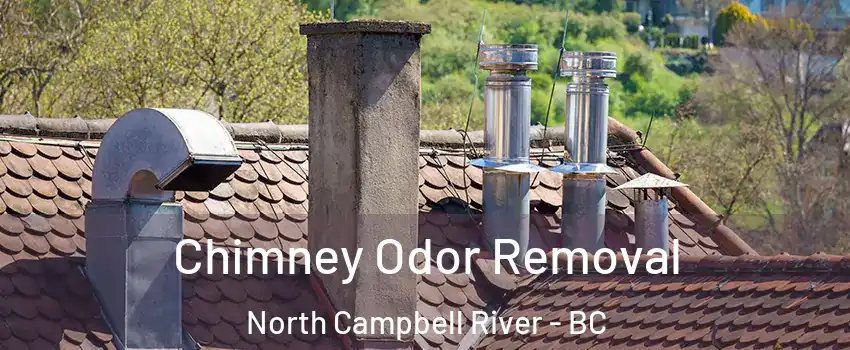 Chimney Odor Removal North Campbell River - BC