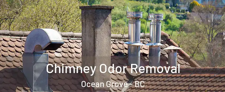 Chimney Odor Removal Ocean Grove - BC