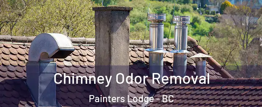  Chimney Odor Removal Painters Lodge - BC