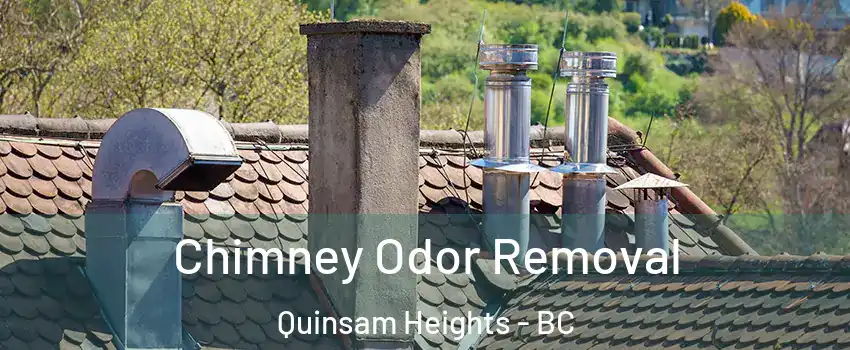  Chimney Odor Removal Quinsam Heights - BC