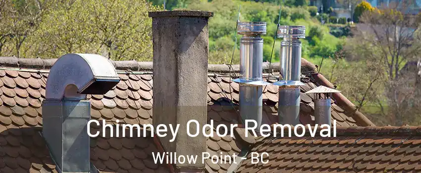  Chimney Odor Removal Willow Point - BC