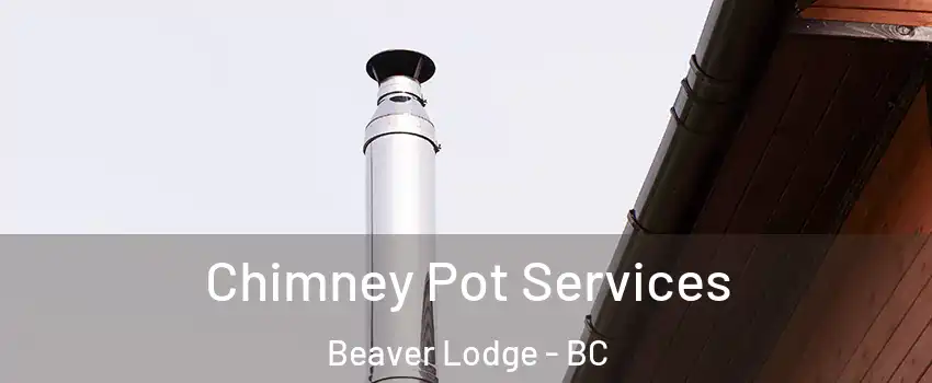  Chimney Pot Services Beaver Lodge - BC