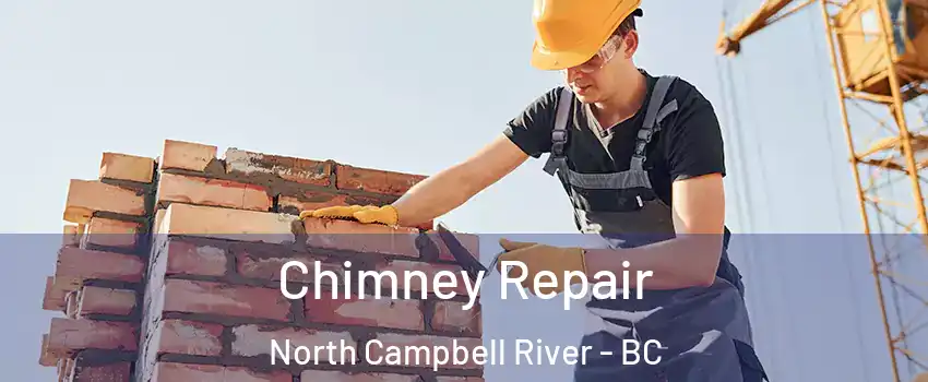  Chimney Repair North Campbell River - BC