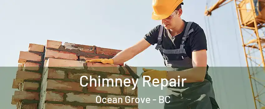  Chimney Repair Ocean Grove - BC