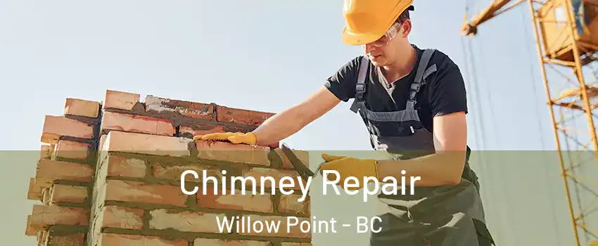  Chimney Repair Willow Point - BC