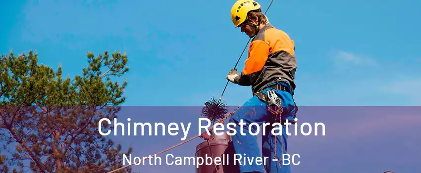  Chimney Restoration North Campbell River - BC