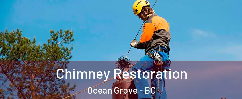  Chimney Restoration Ocean Grove - BC