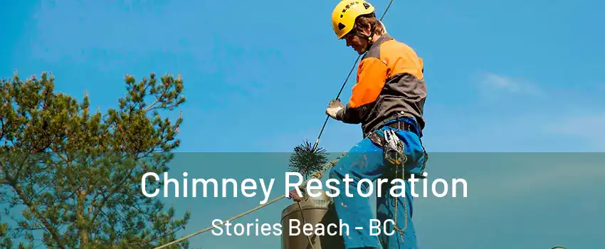  Chimney Restoration Stories Beach - BC
