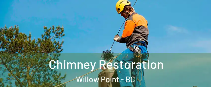  Chimney Restoration Willow Point - BC