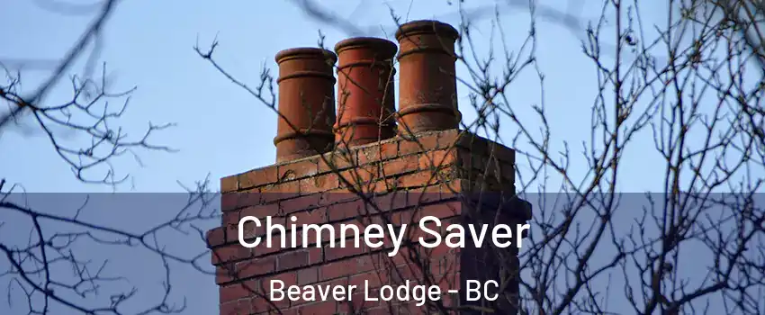  Chimney Saver Beaver Lodge - BC