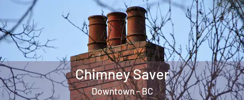  Chimney Saver Downtown - BC