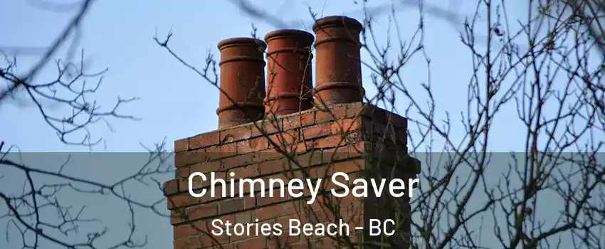  Chimney Saver Stories Beach - BC