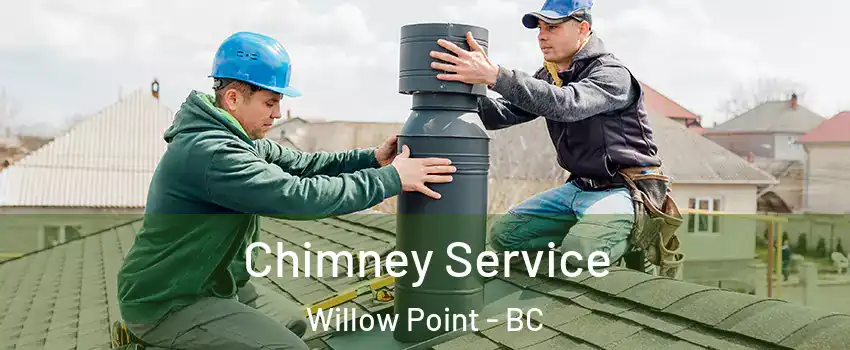  Chimney Service Willow Point - BC