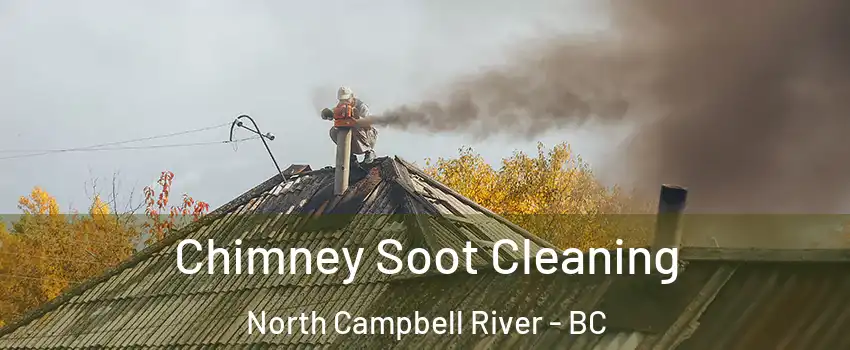  Chimney Soot Cleaning North Campbell River - BC