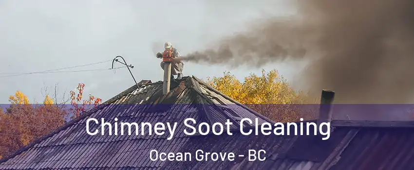  Chimney Soot Cleaning Ocean Grove - BC