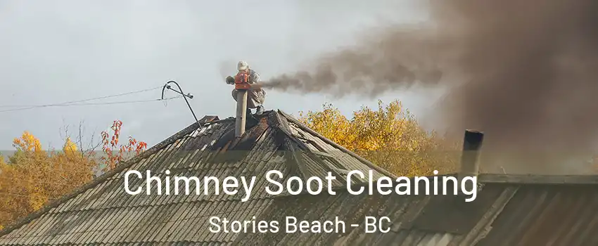  Chimney Soot Cleaning Stories Beach - BC