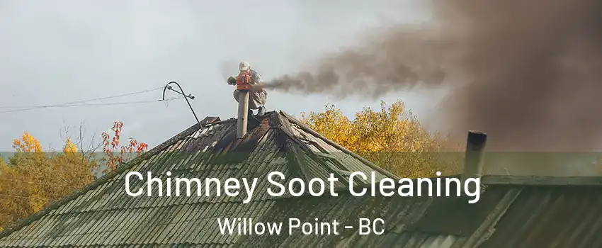  Chimney Soot Cleaning Willow Point - BC