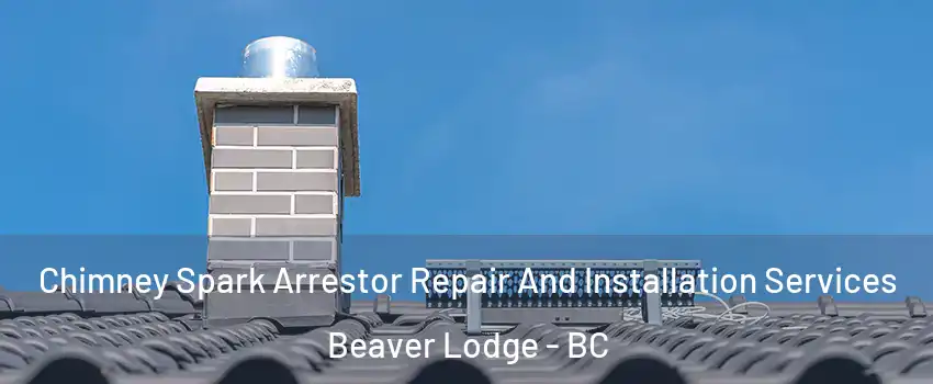  Chimney Spark Arrestor Repair And Installation Services Beaver Lodge - BC