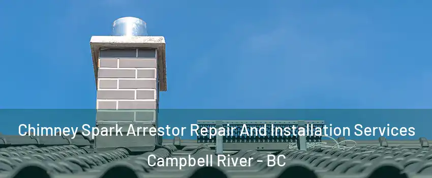  Chimney Spark Arrestor Repair And Installation Services Campbell River - BC