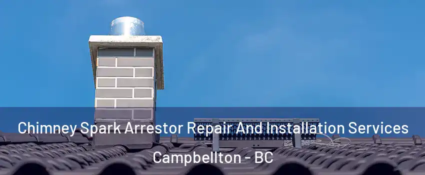  Chimney Spark Arrestor Repair And Installation Services Campbellton - BC