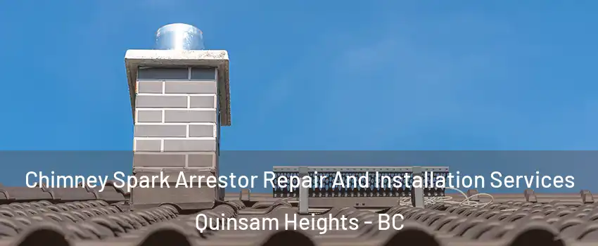  Chimney Spark Arrestor Repair And Installation Services Quinsam Heights - BC