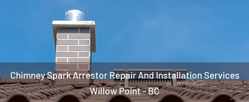Chimney Spark Arrestor Repair And Installation Services Willow Point - BC