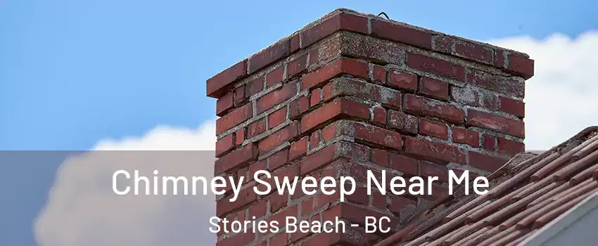  Chimney Sweep Near Me Stories Beach - BC