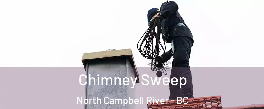  Chimney Sweep North Campbell River - BC