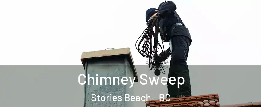  Chimney Sweep Stories Beach - BC