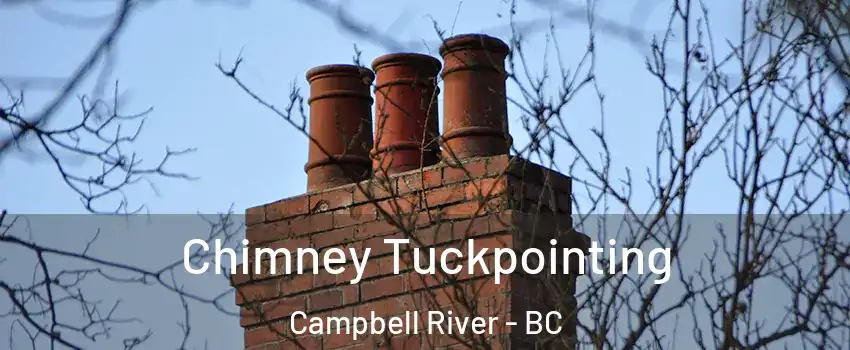  Chimney Tuckpointing Campbell River - BC