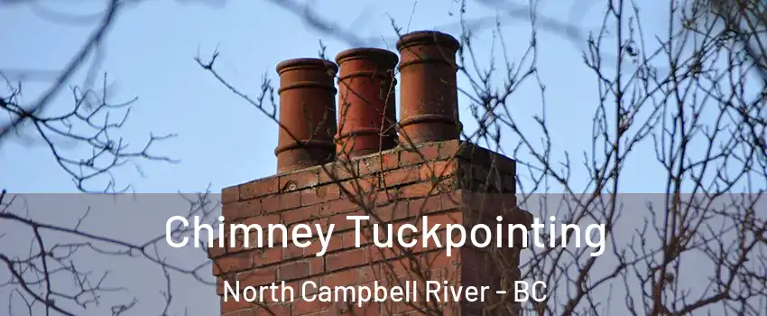  Chimney Tuckpointing North Campbell River - BC