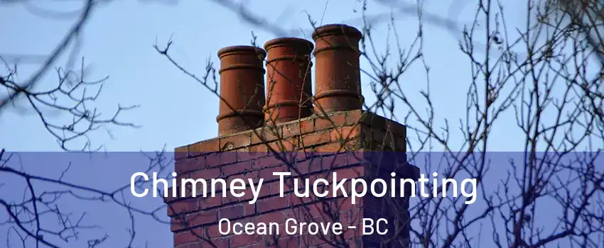  Chimney Tuckpointing Ocean Grove - BC