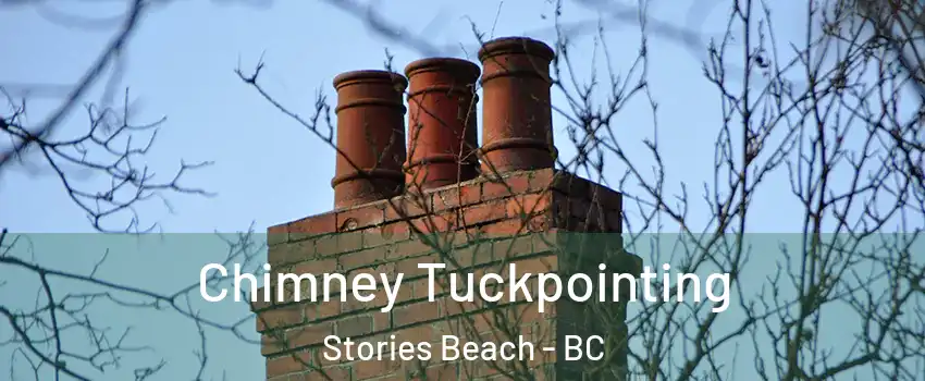  Chimney Tuckpointing Stories Beach - BC