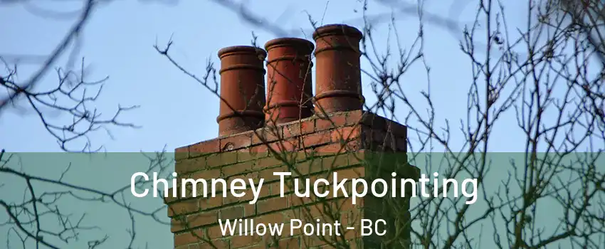  Chimney Tuckpointing Willow Point - BC