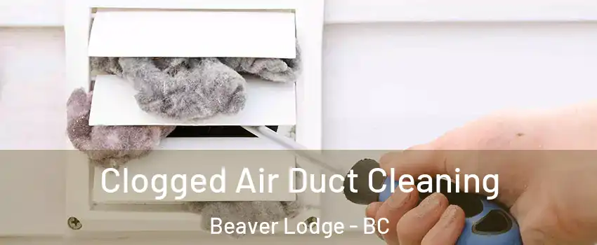 Clogged Air Duct Cleaning Beaver Lodge - BC