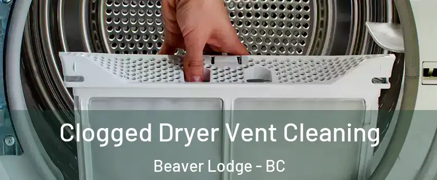  Clogged Dryer Vent Cleaning Beaver Lodge - BC