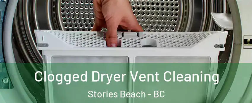  Clogged Dryer Vent Cleaning Stories Beach - BC