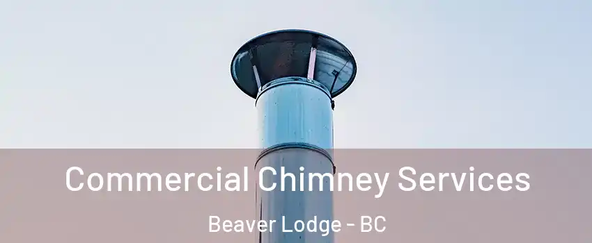  Commercial Chimney Services Beaver Lodge - BC