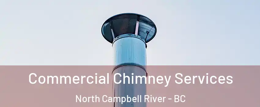  Commercial Chimney Services North Campbell River - BC