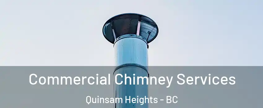  Commercial Chimney Services Quinsam Heights - BC
