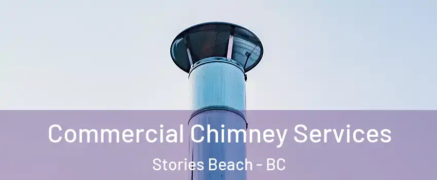  Commercial Chimney Services Stories Beach - BC