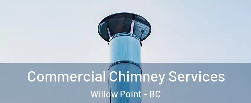  Commercial Chimney Services Willow Point - BC