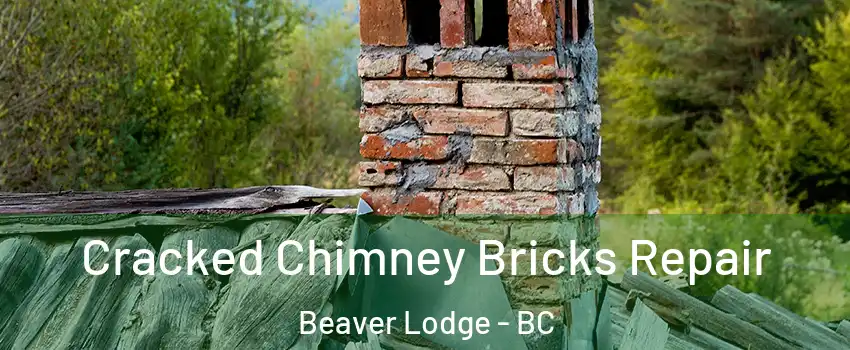  Cracked Chimney Bricks Repair Beaver Lodge - BC