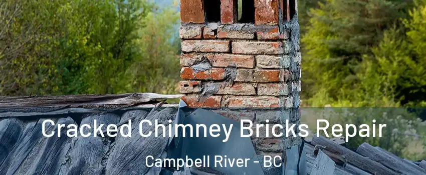  Cracked Chimney Bricks Repair Campbell River - BC