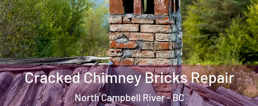  Cracked Chimney Bricks Repair North Campbell River - BC